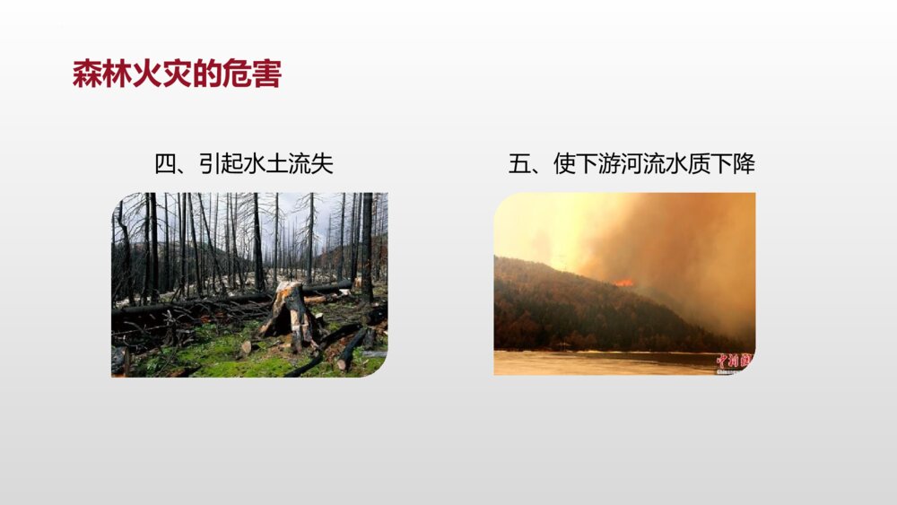 《森林防火 人人有责》PPT班会课件7