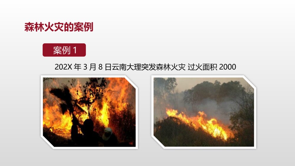 《森林防火 人人有责》PPT班会课件10
