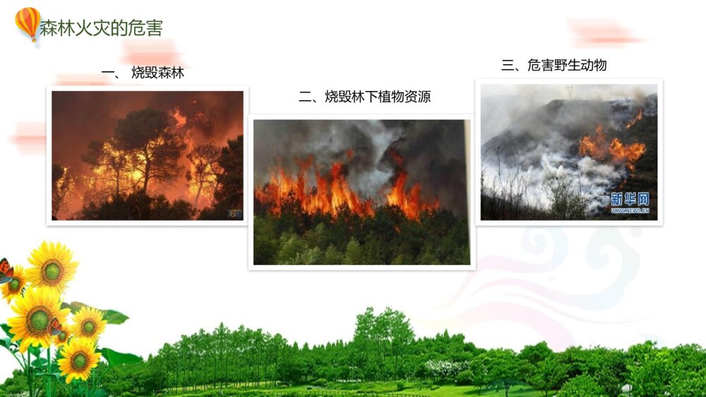 森林防火·人人有责PPT班会课件-如何有效防止森林火灾6