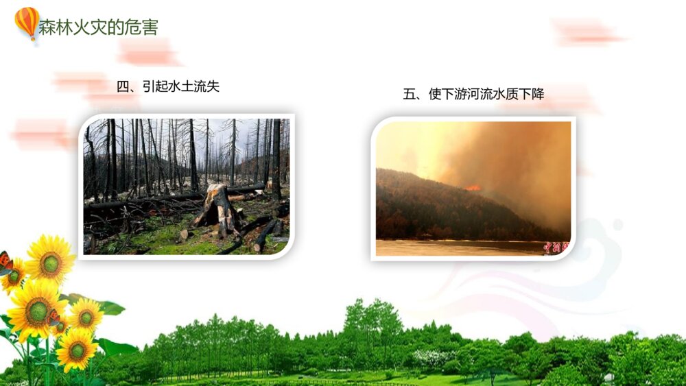 森林防火·人人有责PPT班会课件-如何有效防止森林火灾7