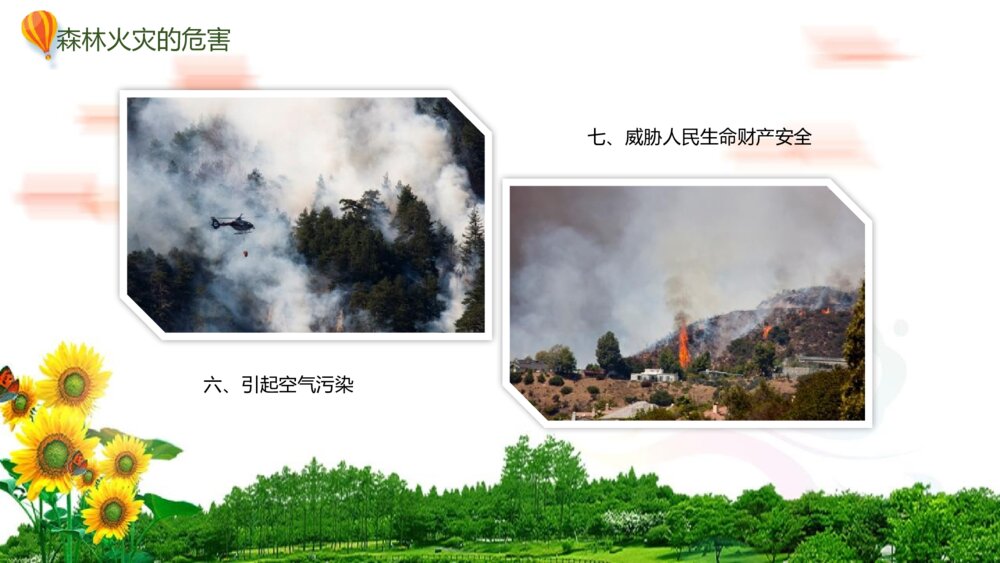 森林防火·人人有责PPT班会课件-如何有效防止森林火灾8