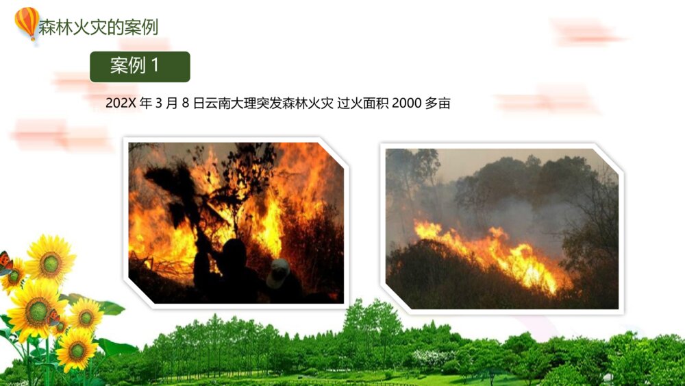森林防火·人人有责PPT班会课件-如何有效防止森林火灾10