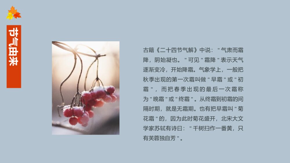 中国传统二十四节气霜降节气主题介绍PPT课件(内容文字可编辑修改)6