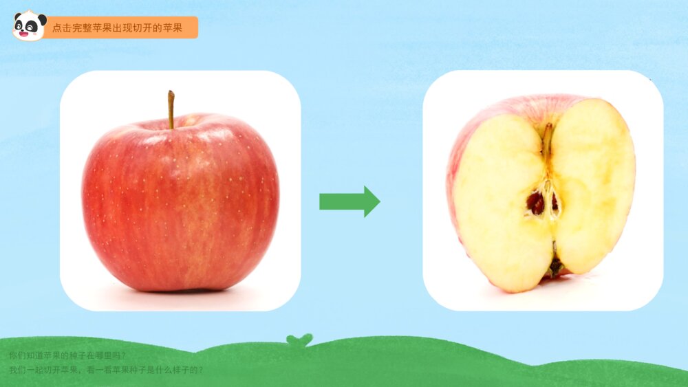 《苹果种子的故事》幼儿园小班语言主题PPT3