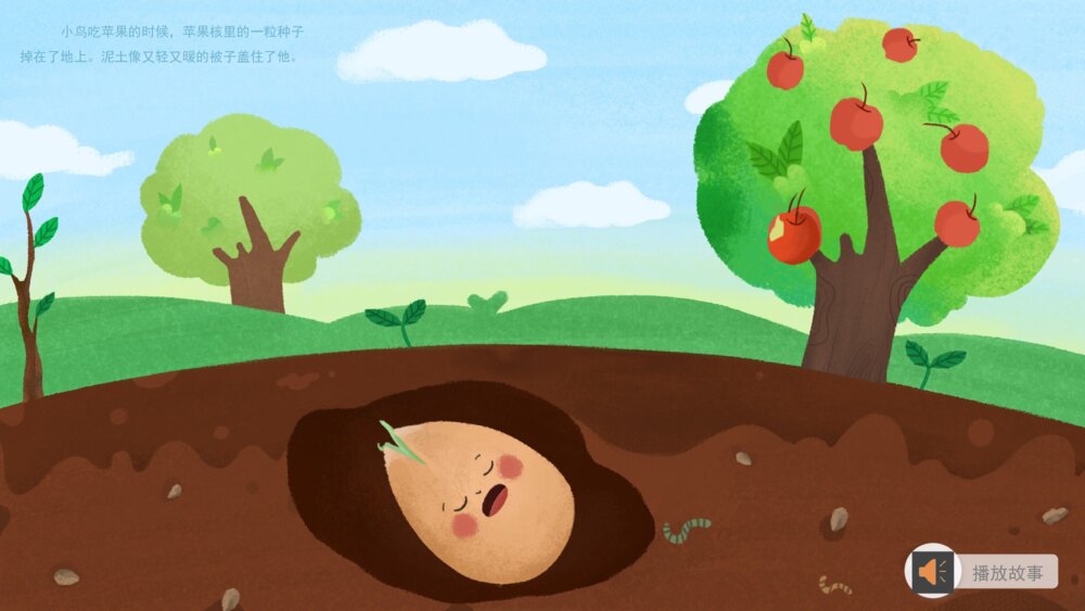 《苹果种子的故事》幼儿园小班语言主题PPT5