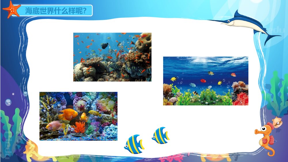 《海洋动物》幼儿园小班科学教育教育PPT课件7