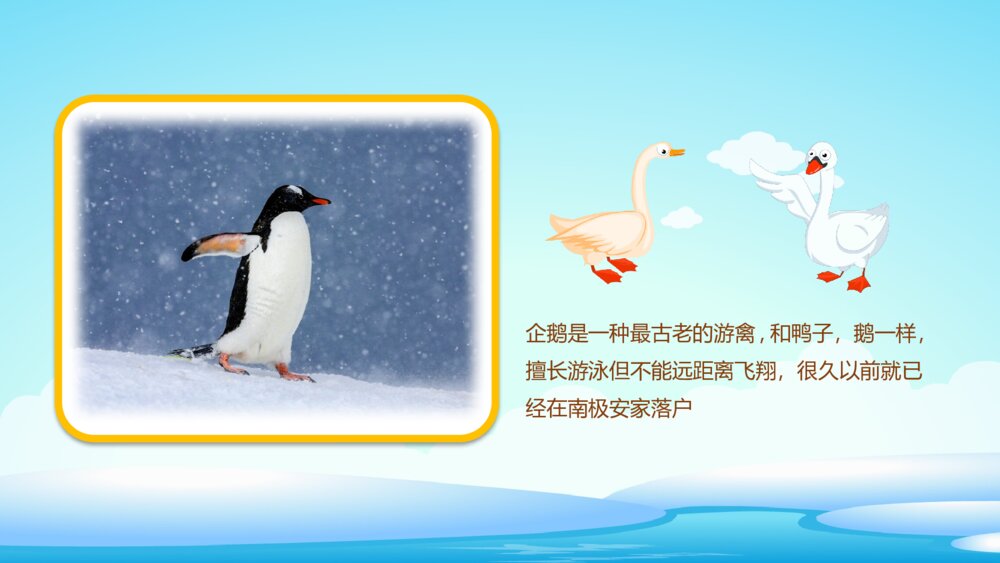 《不怕冷的企鹅》幼儿园小班科学教育活动主题PPT课件4