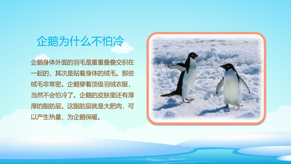 《不怕冷的企鹅》幼儿园小班科学教育活动主题PPT课件9
