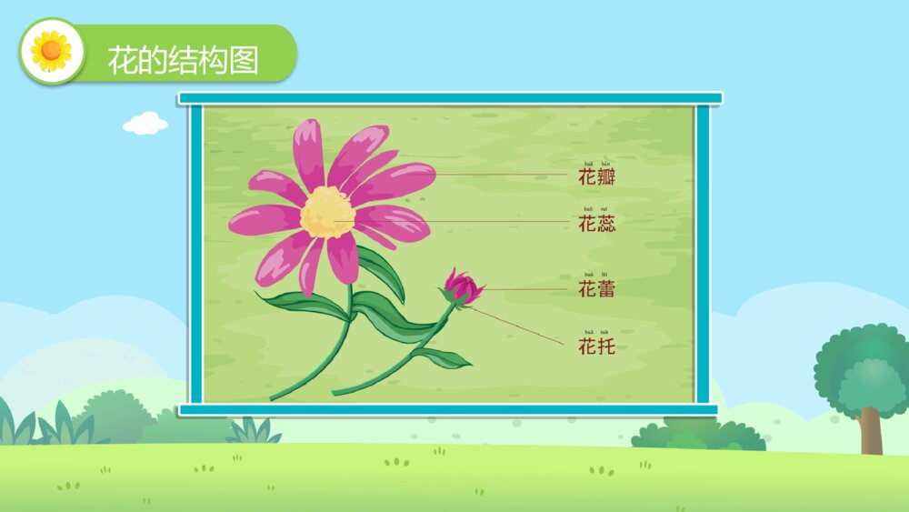 《美丽的花儿》幼儿园小班科学教学教育活动主题PPT课件4