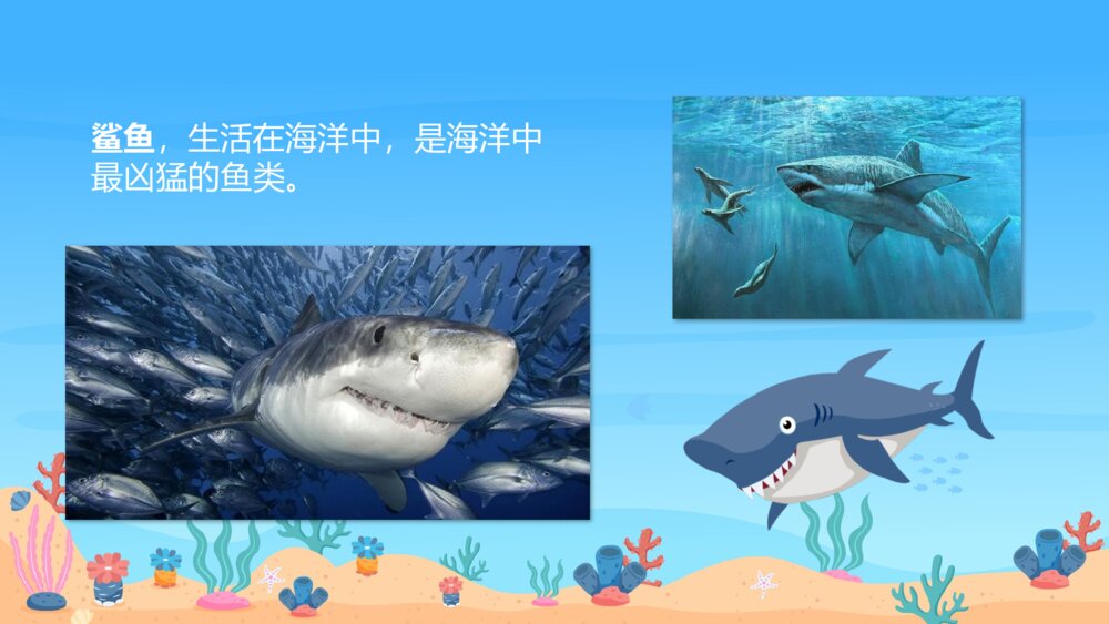 《危险的海洋动物》幼儿园小班科学教育活动主题PPT课件3