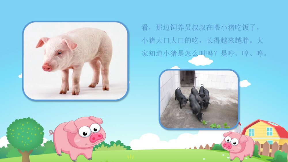 《农场里的小动物》幼儿园小班科学活动教育主题PPT课件6