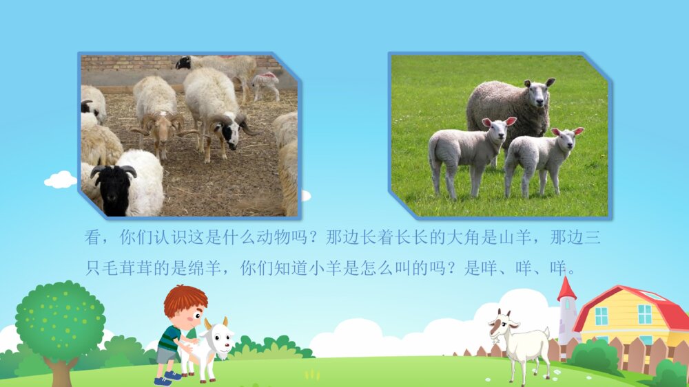《农场里的小动物》幼儿园小班科学活动教育主题PPT课件7