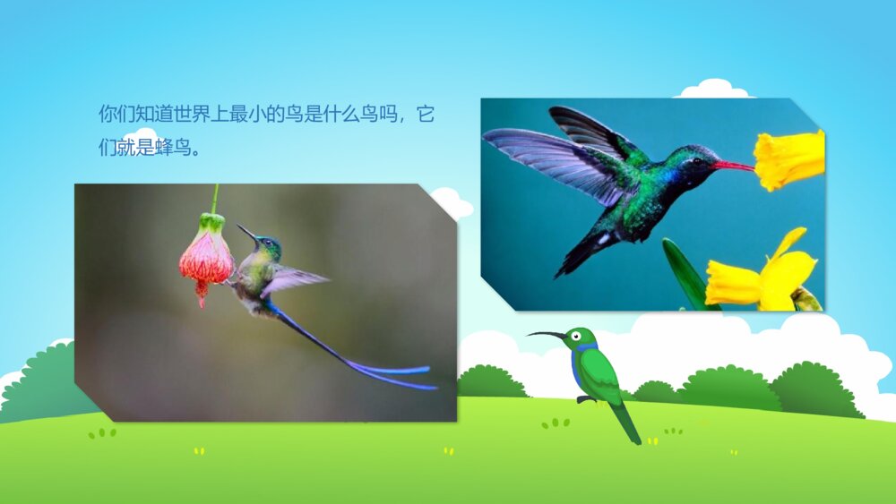 《鸟类动物》幼儿园小班科学活动教育主题PPT课件10