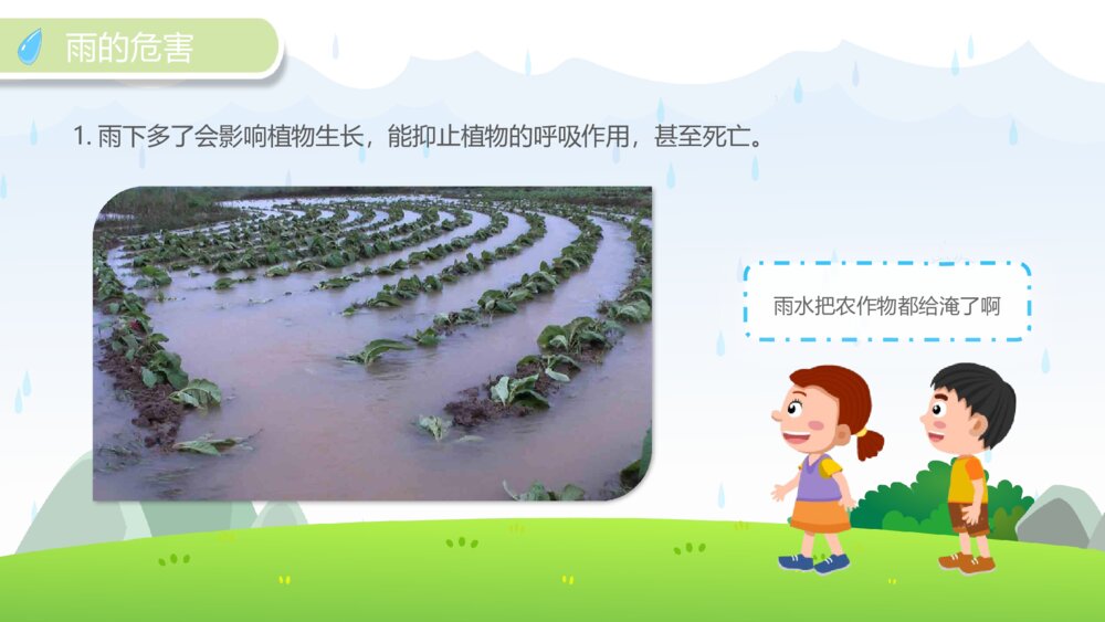 《雨的好处和危害》幼儿园科学教育主题PPT课件9
