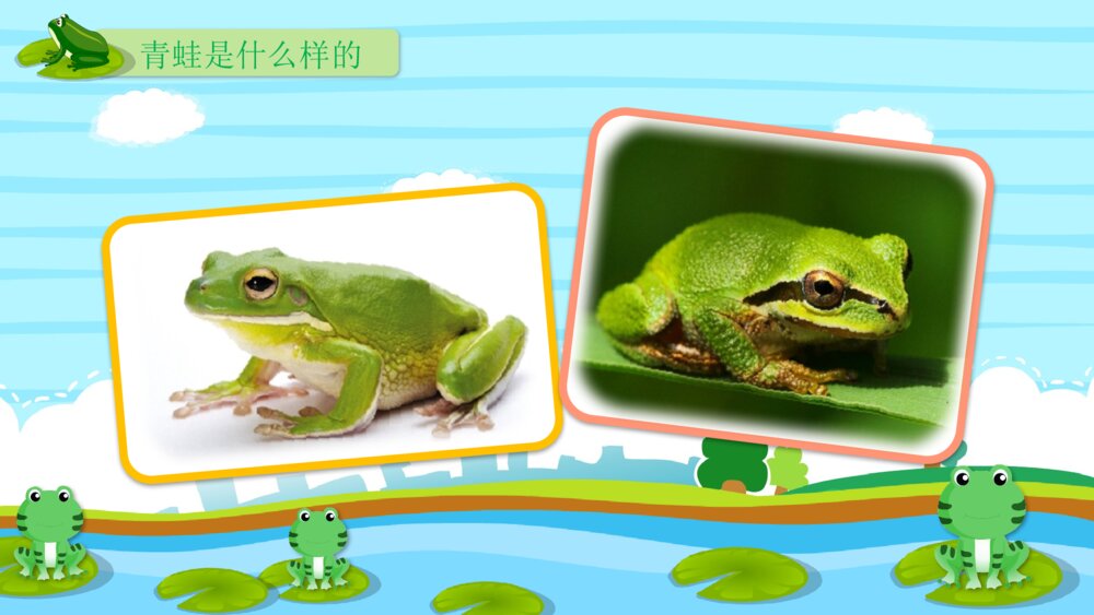 《呱呱呱的小青蛙》幼儿园小班科学活动教育主题PPT课件4