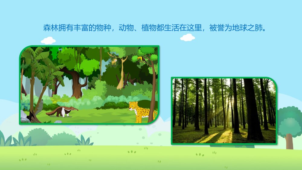 《森林中的小动物》幼儿园科学教育教学PPT课件4