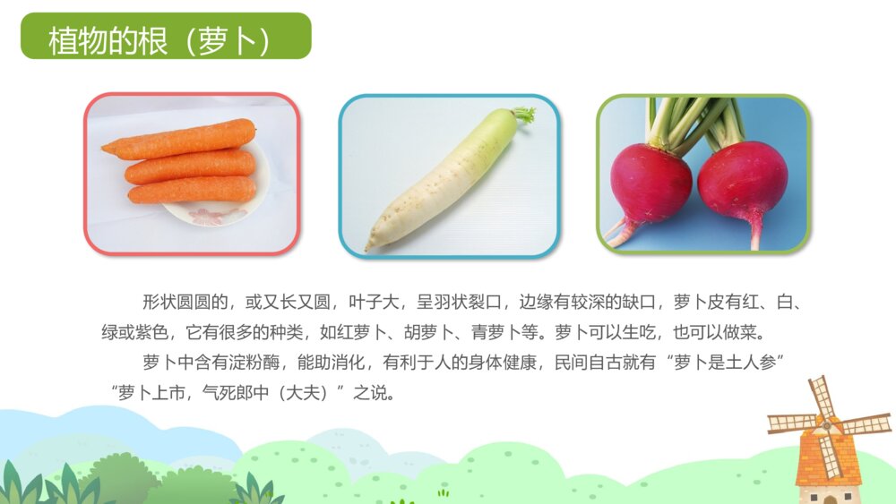 《我爱吃蔬菜》幼儿园小班健康活动教学PPT课件5