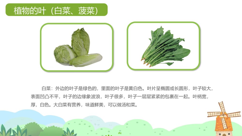 《我爱吃蔬菜》幼儿园小班健康活动教学PPT课件6