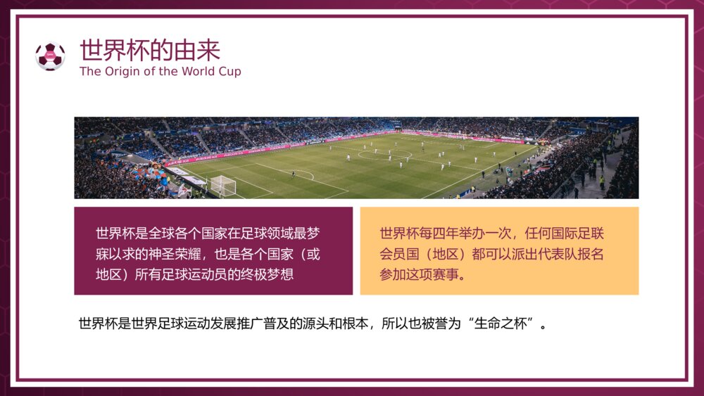 《卡塔尔足球世界杯》观赛指南主题PPT课件5