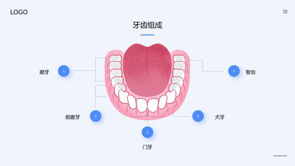 牙齿健康教育知识培训PPT课件下载5