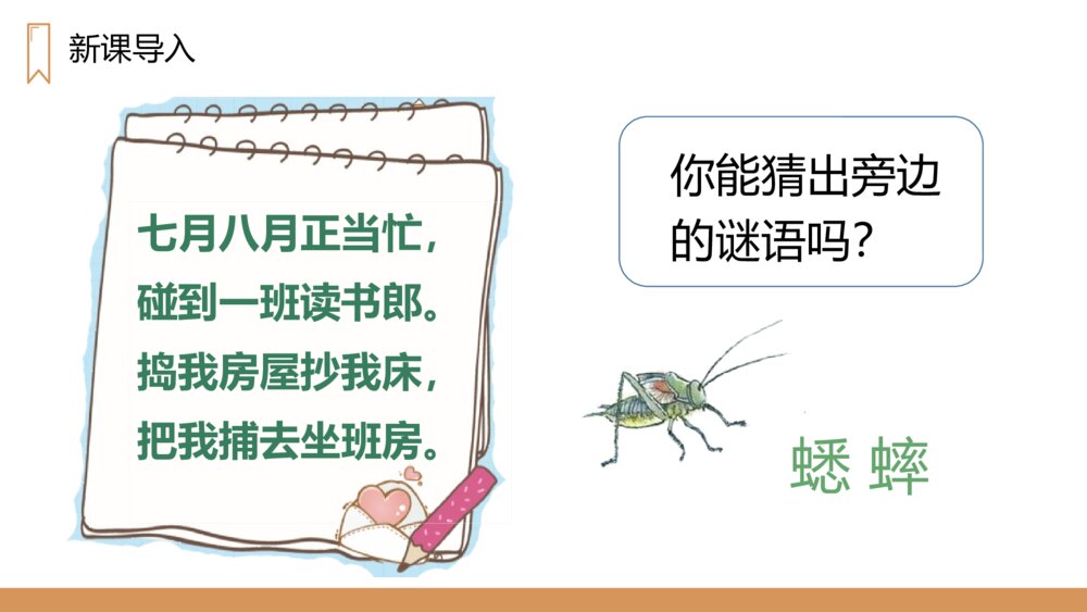 人教版四年级语文上册《蟋蟀的住宅》PPT课件2