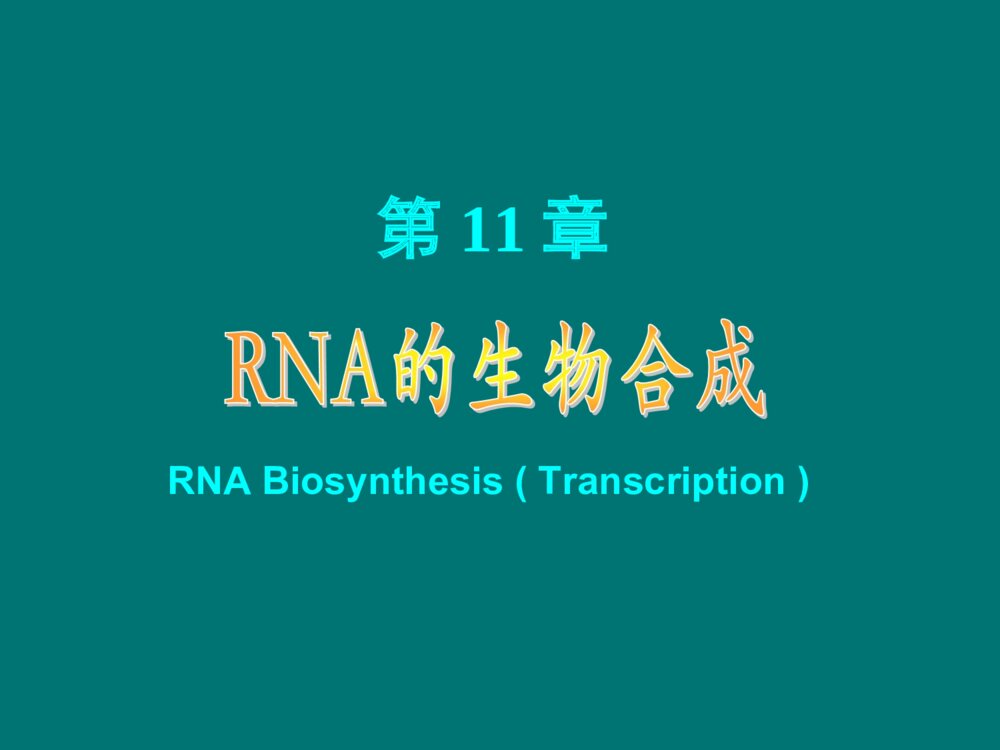 生物化学 第11章 RNA的生物合成PPT课件下载1