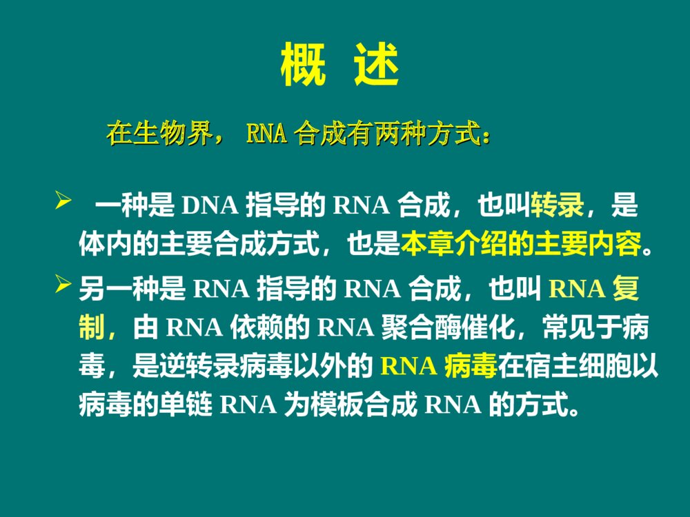 生物化学 第11章 RNA的生物合成PPT课件下载3