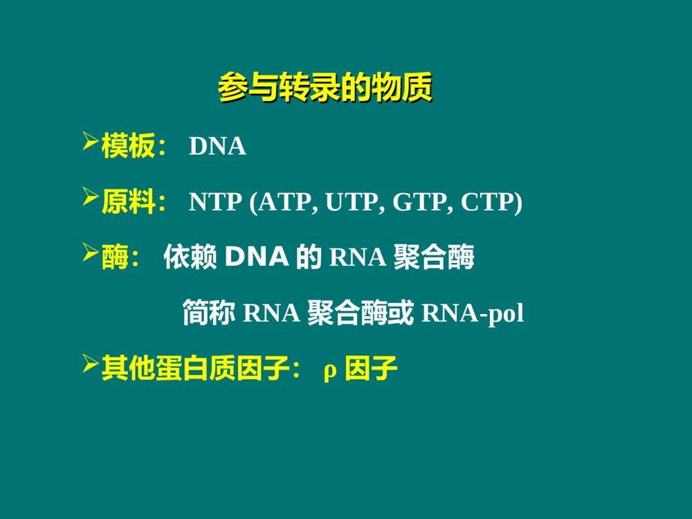 生物化学 第11章 RNA的生物合成PPT课件下载6