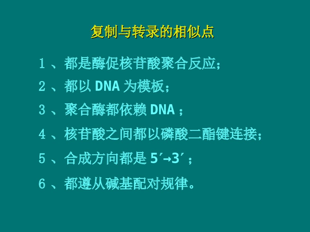 生物化学 第11章 RNA的生物合成PPT课件下载7