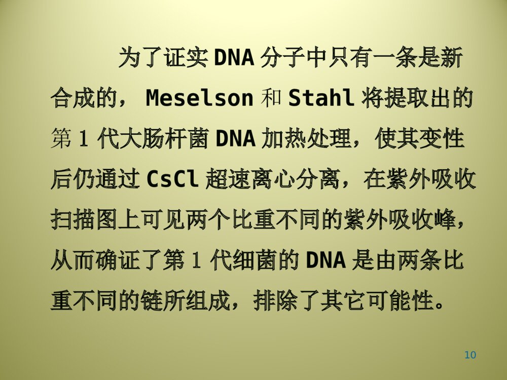 DNA的生物合成PPT生物化学课件下载10