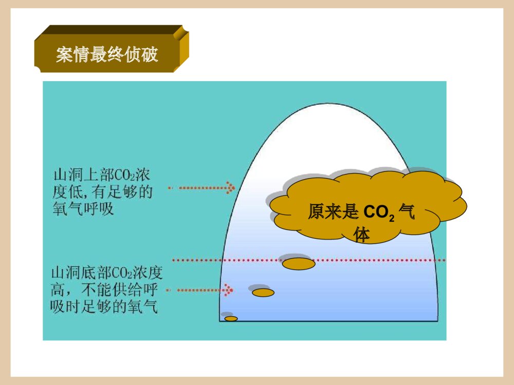 九年级化学二氧化碳和一氧化碳PPT课件下载6
