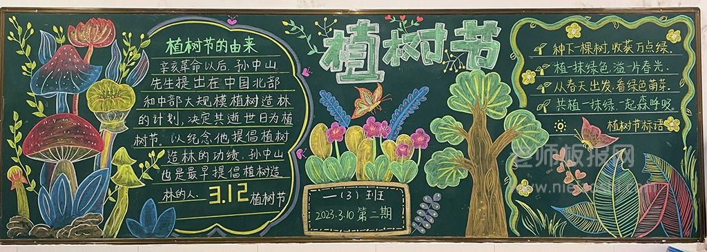 小学一年级”3.12植树节“主题黑板报图片（2张）植树节黑板报粉笔画