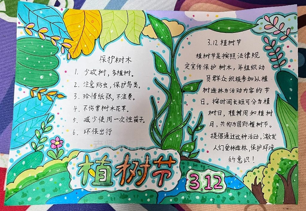 3·12植树节手抄报图片（2张）爱绿护绿植树节主题手抄报小学生