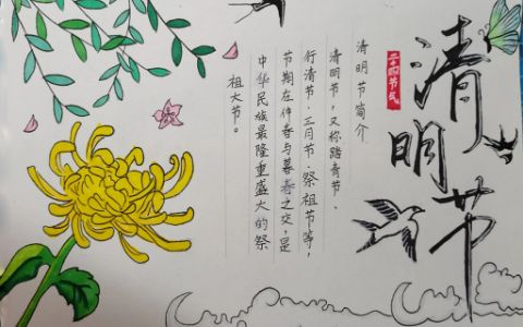 清明节·二十四节气手抄报绘画图片（1张）小学生中低年级手抄报