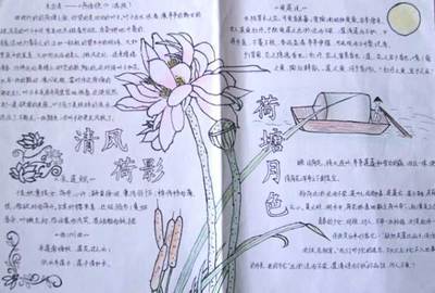 荷花的植物画报手抄报 关于荷花的手抄报