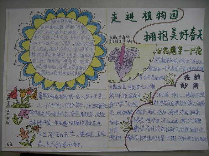 小学三年级植物记录卡手抄报 小学三年级手抄报