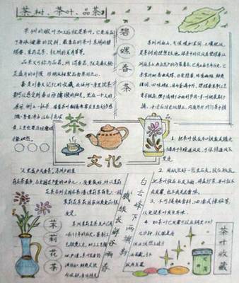 简单又漂亮的茶文化手抄报 简单漂亮的手抄报