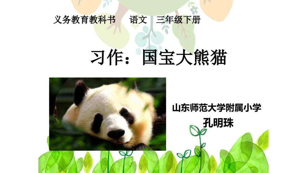 三年级语文下册 第七单元 习作：国宝大熊猫 PPT课件
