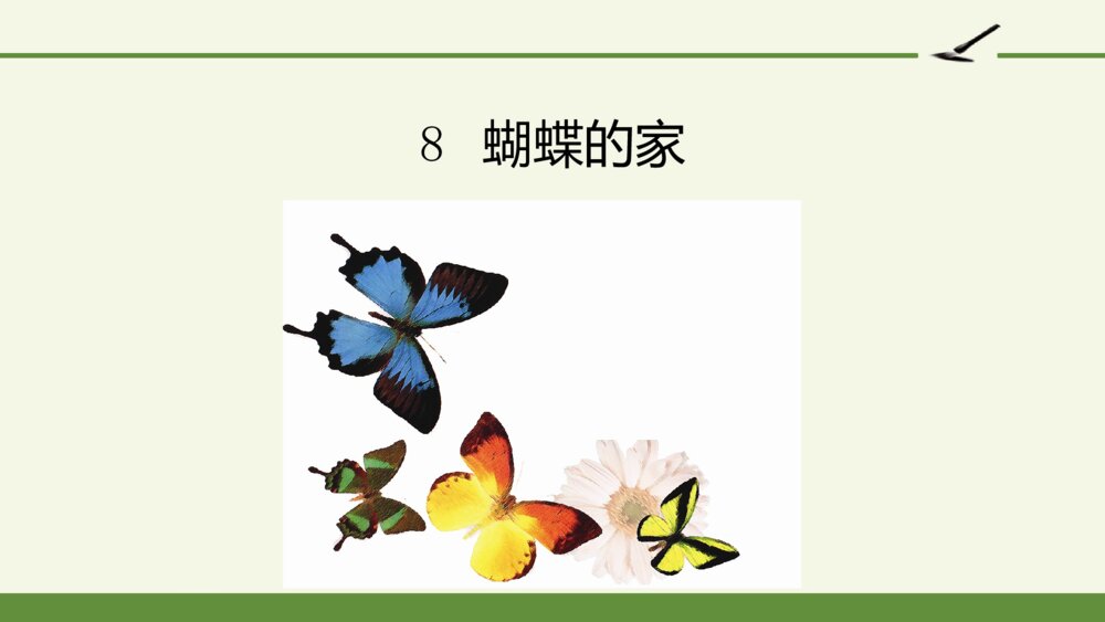 小学四年级语文下册 第二单元 8 蝴蝶的家 PPT课件