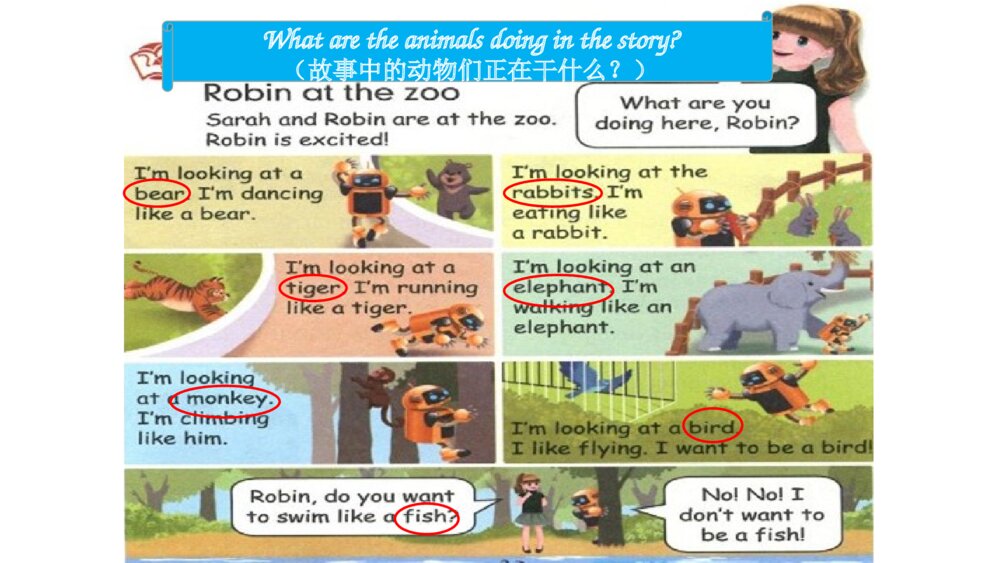 五年级英语下册 Unit 5 Whose dog is it Robin at the zoo教学课件PPT 7